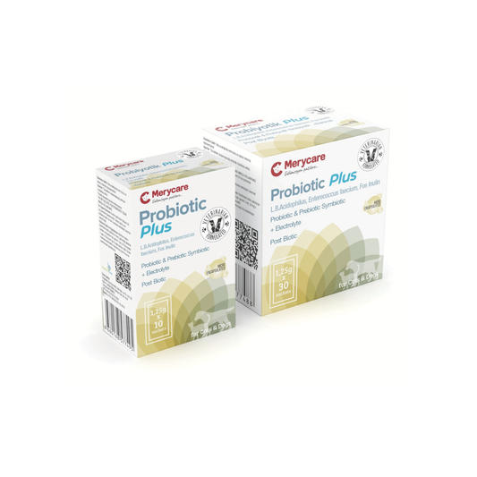 Merycare Probiotic Plus 30 Şase