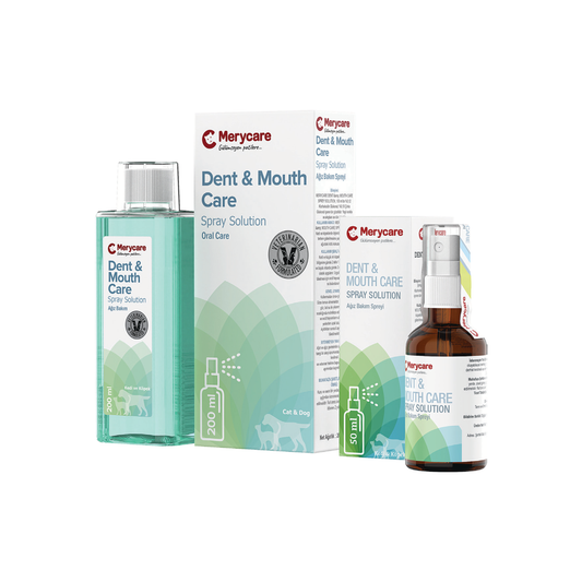 Merycare Dent & Mouth Care 200ML