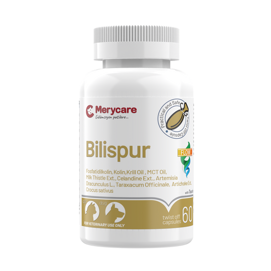 Merycare Bilispur 60 Twist-Off Kapsül