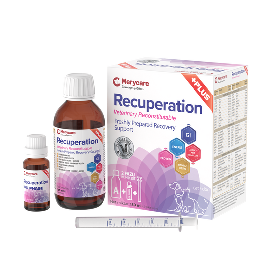 Merycare Recuperation 150 ml Syrup 